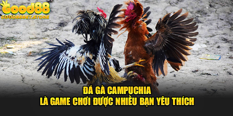 Đây là game chơi được nhiều bạn yêu thích 