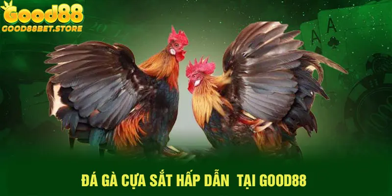 Đá Gà Cựa Sắt Điểm Đến Không Thể Bỏ Qua Tại Good88