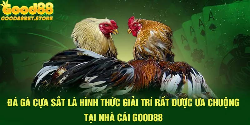 Đá gà cựa sắt rất được yêu thích tại nhà cái Good88