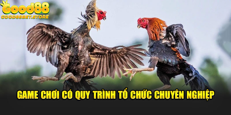 Game chơi có quy trình tổ chức chuyên nghiệp