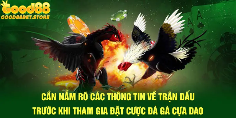 Những điều cần chú ý để tham gia đặt cược hiệu quả 