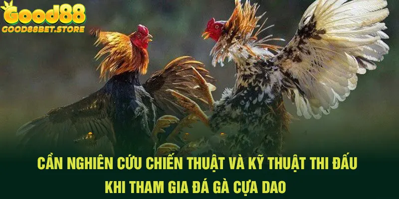 Tham gia đá gà cựa dao cần có chiến lược thông minh 