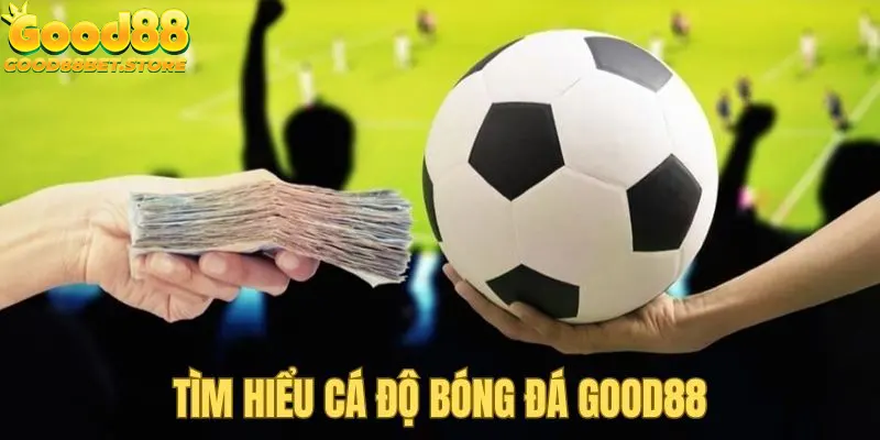 Tìm hiểu về cá cược bóng đá tại Good88